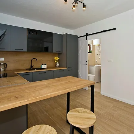 Apartment Ivusic *